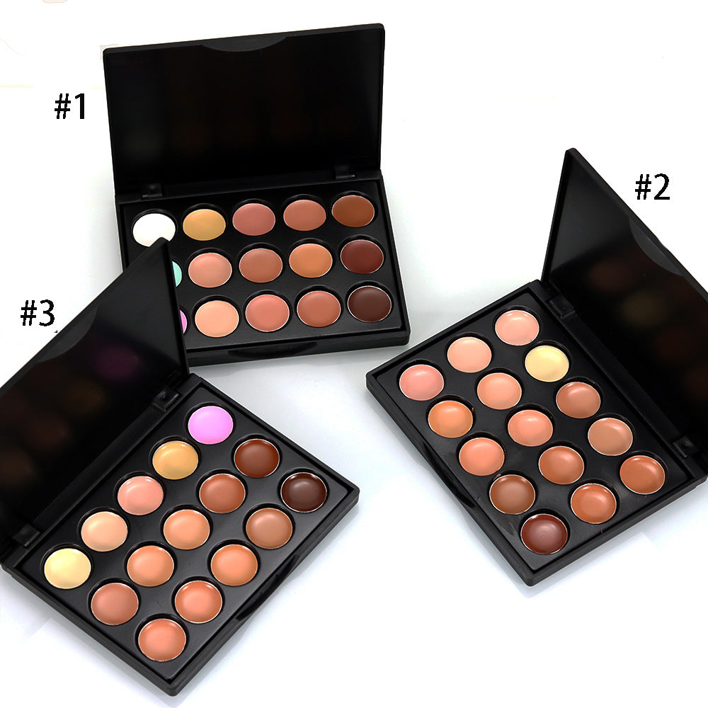 15-Shade Concealer & Foundation Palette